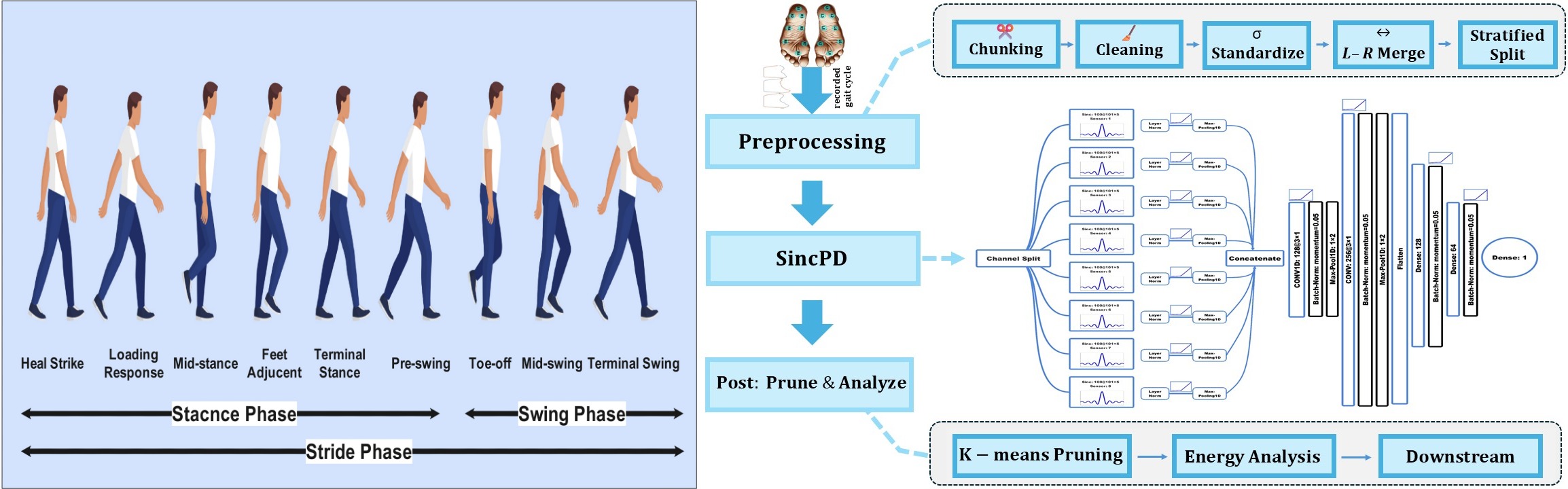 SincNet for Parkinson’s Gait